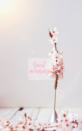 Wild cherry flowers and note holder with "good morning' text, on white wooden backgroundの写真素材