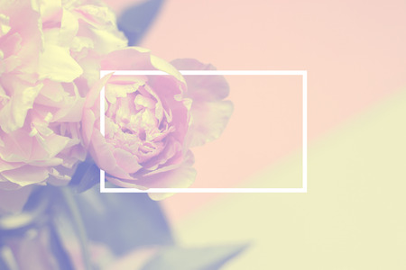 Pink peony flowers square gift card with white frame and copy space; floral background