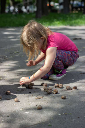 Little girl playing in the park, collecting snailsの写真素材