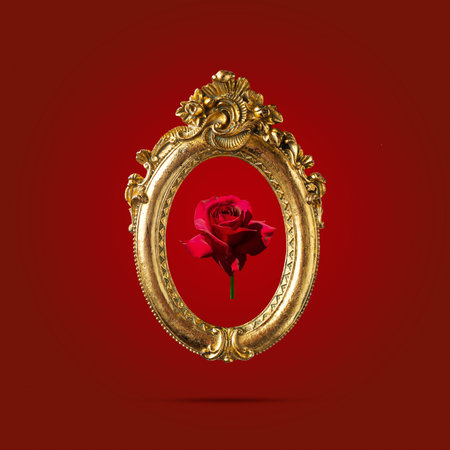 Beautiful golden baroque frame, with red rose inside, against maroon background; Minimal flower, love, fashion conceptの写真素材
