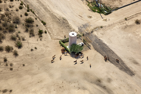 Wild horses gathering for some water on the reservationの写真素材