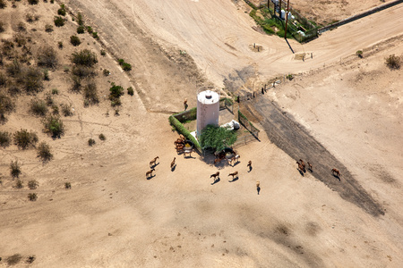 Wild horses gathering for some water on the reservationの写真素材