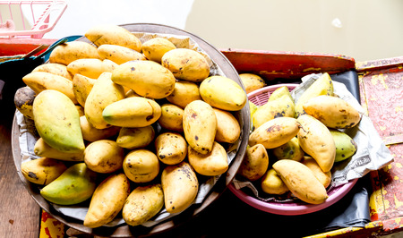 Mango yellowの写真素材