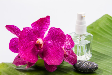 Orchid on a banana leaf.の写真素材