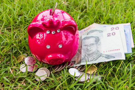 pig bank on grassの写真素材