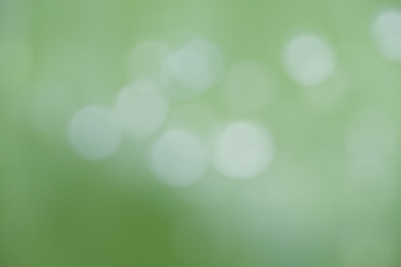 Abstract natural backgrounds with beauty bokehの写真素材