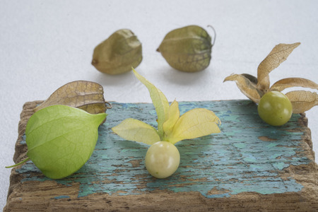 Macro detail image of Cape gooseberry on white backgroundの写真素材