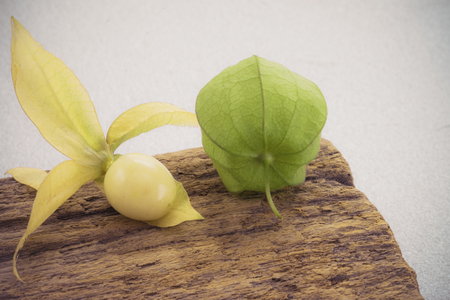 Macro detail image of Cape gooseberry on white background, Vintage filter.の写真素材
