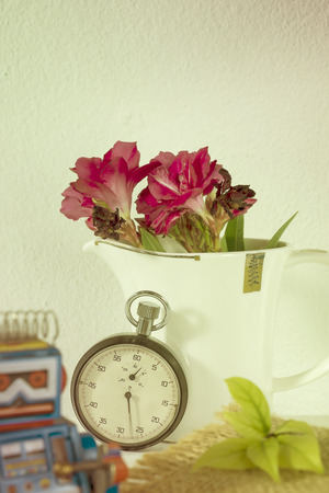 Stopwatch and  flowers in a cup, Still lifeの写真素材