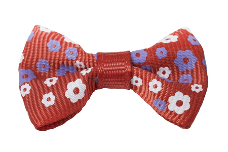 colorful ribbon bows isolation on a white backgroundの写真素材