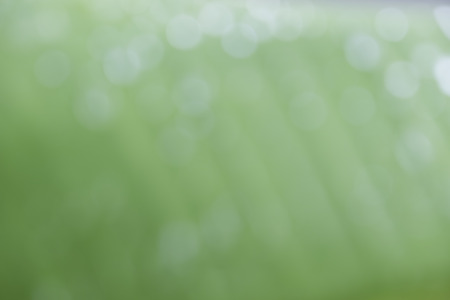 Abstract natural backgrounds with beauty bokehの写真素材