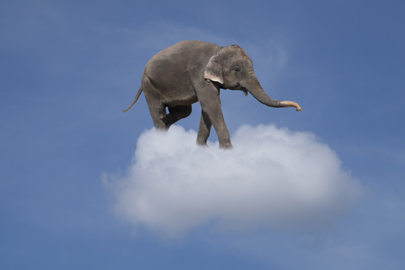 elephant in the clouds - lightness and fantasy conceptの写真素材