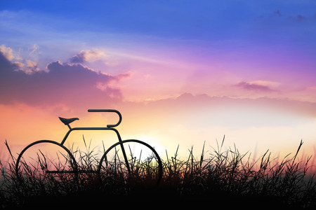 Amazing summer sunset as a background.の写真素材