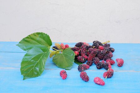 mulberries fruit and mulberry leaf on wood table background.  healthy mulberry fruit food.の写真素材