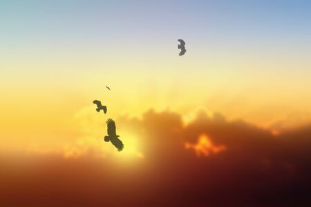 Cloudy sky with pastel gradient color, Natural landscape, Background of colorful sky concept, nature...
