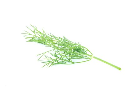 Bunch of fresh green dill isolated on white backgroundの写真素材