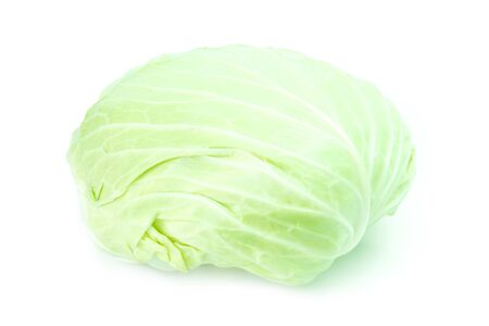 Cabbage Vegetables on white background.の写真素材