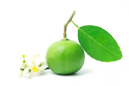 Fresh lime fruit with green leaf isolated on white backgroundの写真素材