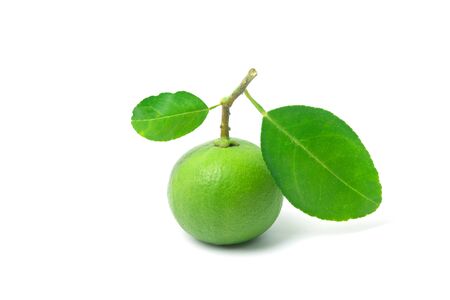 Fresh lime fruit with green leaf isolated on white backgroundの写真素材