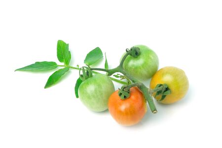 Bunch of cherry tomatoes and leaf tomatoes isolated on white background.の写真素材
