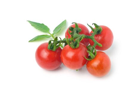 Bunch of cherry tomatoes and leaf tomatoes isolated on white background.の写真素材