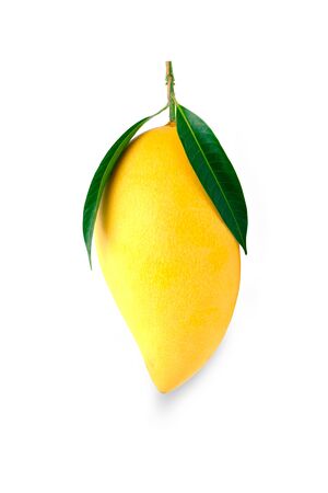 Yellow mango and leaf isolated on white backgroundの写真素材