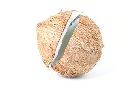 Coconut. Coconut isolated on white background. Full depth of field.の写真素材