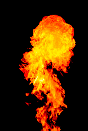 Fire flames on a black backgroundの写真素材