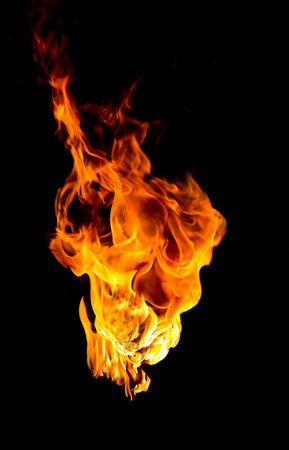 fireの写真素材