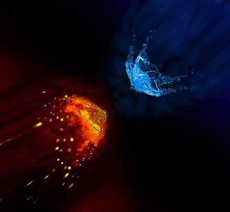 A butterflies battleの写真素材