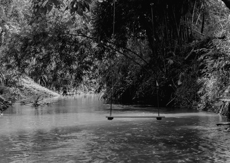 swing on river