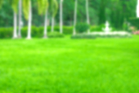 Park filter blurの写真素材