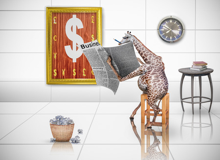 Giraffes are reading financial newspapers.Photo combination conceptの写真素材