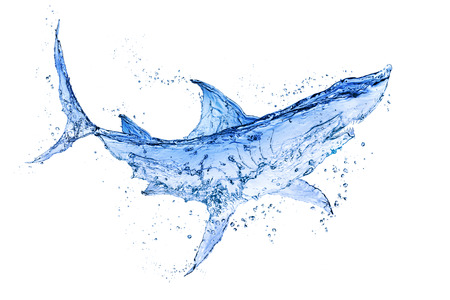 Shark water splash isolate on white background.の写真素材