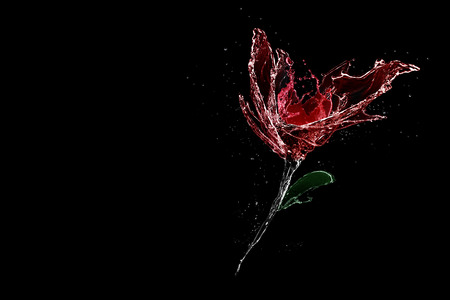 Rose made of water splash isolated on black backgroundの写真素材