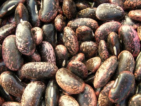 Texture bean