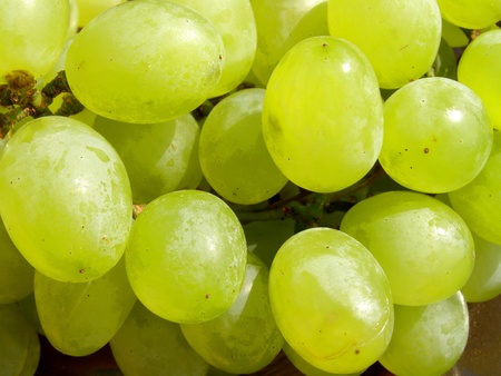 fresh grapes