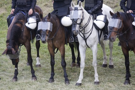 Close-up of mounted police patrol on horsebackの写真素材