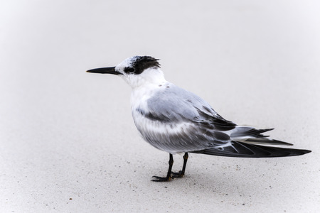 Nature Photographyの写真素材