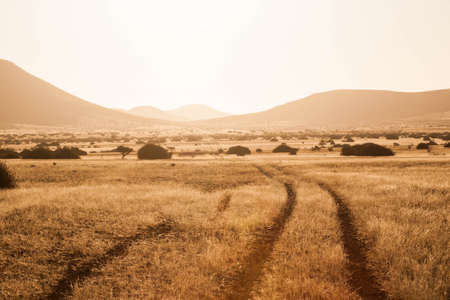 African landscapeの写真素材