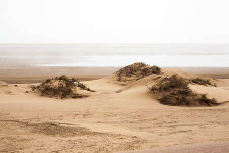 Desertの写真素材