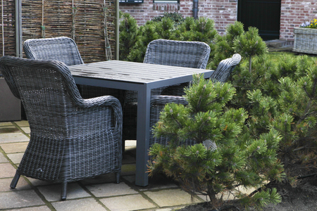 Niche with nice dark gray or black rattan furniture for the corner and a pineの写真素材