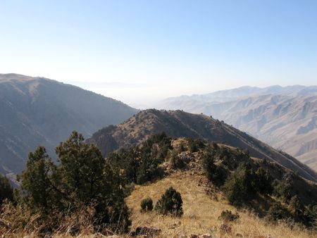 Hill civered forest. Babaytag region, Uzbekistan, fall 2007の写真素材