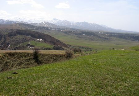 Mountain medowsの写真素材