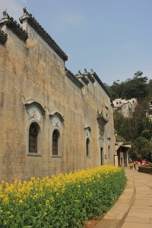 Spring flowers with building screenのeditorial素材