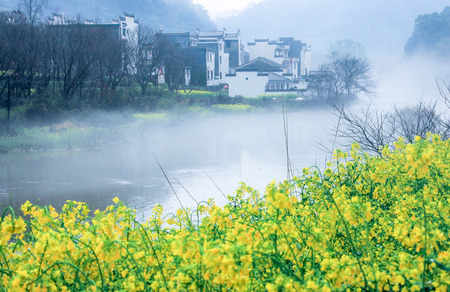 Spring flowersの写真素材