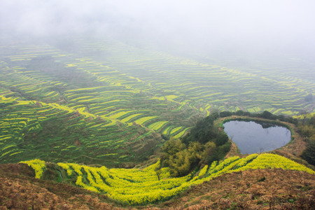 Love pool with hill viewの写真素材