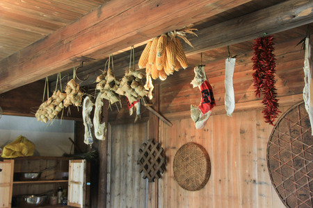 Subsidiary Agricultural Productsの写真素材