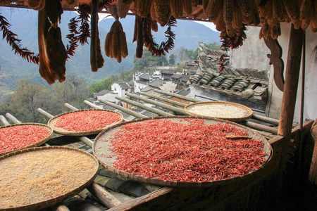 Sun-drying their self-harvest productsの写真素材