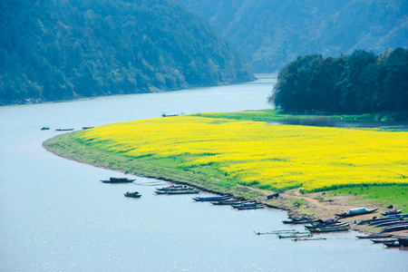 Spring flowersの写真素材